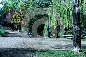 Park with trees and benches along riverbank