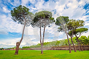 Park with trees near the historic city walls in Lucca, Italy
