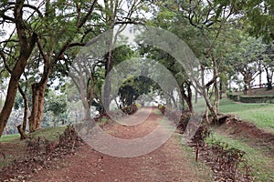 park in Uganda with a long, winding path, lined with green trees and shrubs, and there is a grassy area