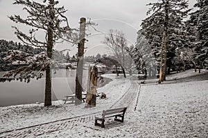 Park under snow by lake in winter time