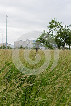 Park am Velodrom in Berlin