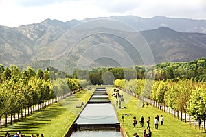 The park of Venaria, royal residence in Turin, piedmont