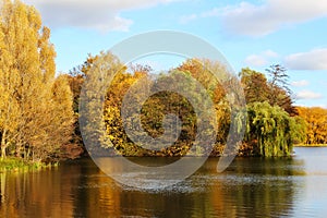 Park view in autumn season with golden trees and sun. Colorful trees are reflected in the still water of the lake.