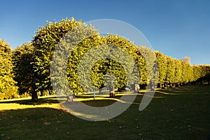 Park Villa Bergfried