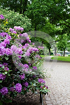 Park Volkspark Friedrichshain,Berlin