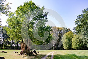 Park von Muskau, Muskauer Park lub FÃ¼rst-PÃ¼ckler-Park, Park MuÅ¼akowski