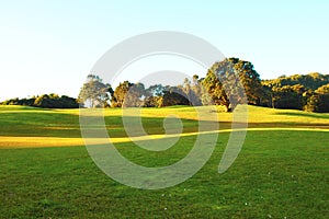 Park at Waitakere ranges