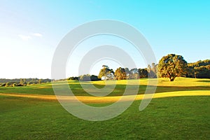 Park at Waitakere ranges