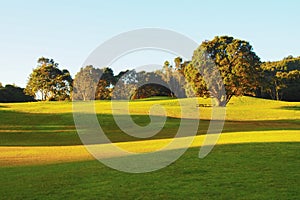 Park at Waitakere ranges