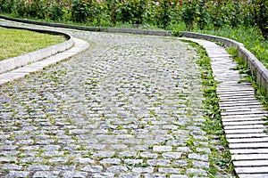 Park walkway of paving stones.