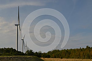 Park of wind-driven generators