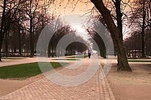 Park in the winter in Brussels at dawn, Belgium