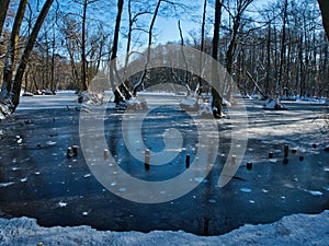 The park in winter white.