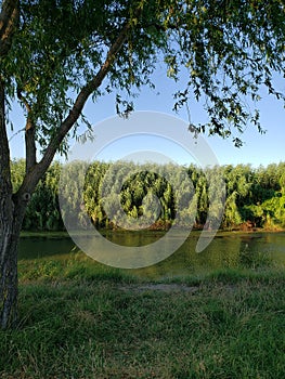 Park zone with a river in Izmail town, Ukraine