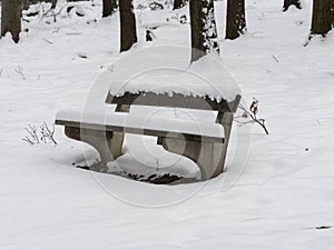 Park bench in winter