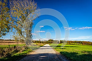 Parke County Indiana Rural Road