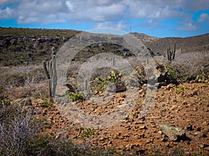 Parke Nacional Arikok Aruba