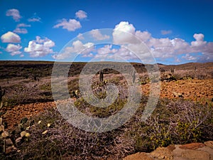 Parke Nacional Arikok Aruba