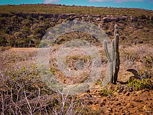 Parke Nacional Arikok Aruba photo