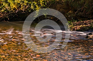 Parke waterway river Bovey