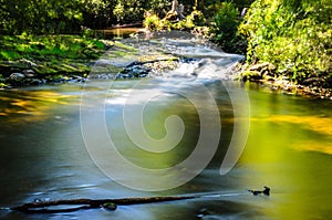 Parke waterway river Bovey