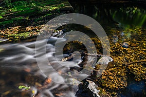 Parke waterway river Bovey