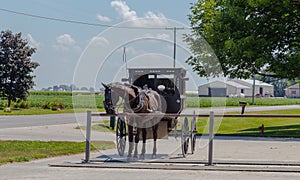 Parked Amish Horse and Buggy at Hitching Rail