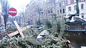 Parked bicycle in Amsterdam with discarded Christmas trees and a stop sign behind