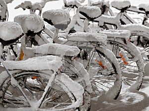 Parked bicycles covered in snow