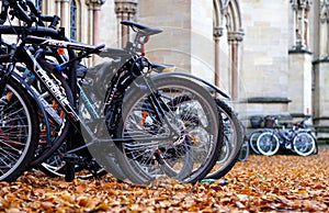 Parked Bikes And Autumn Leaves