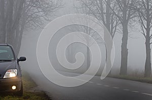 Parked car by road on fog