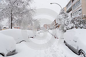 Parked cars covered by snow