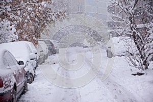 Parked cars covered with snow - snow storm