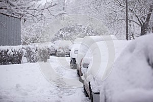 Parked cars covered with snow - snow storm