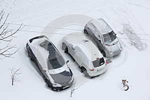 Parked cars covered with snow. Snowy storm. Bad weather in the city. Cyclone