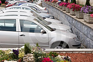 Parked cars and flowers