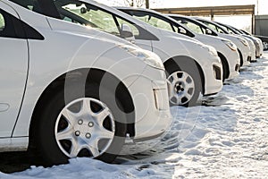 Parked Cars on a Lot. Row of New Cars on the Car Dealer Parking