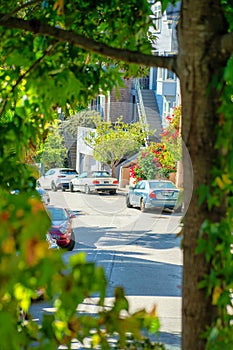Parked cars on the neighborhood street visible through hidden garden with front yard trees and foliage in shade