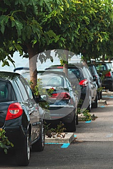 Parked cars on parking lot with trees