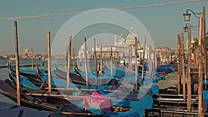 Parked gondolas on Piazza San Marco and The Doge's Palace embankment with the Santa Maria Della Salute, Church of Health