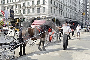Parked horse carriage by Central Park
