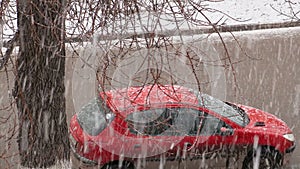 Parked red car. The view from the window into the street. The passing cars. The branches of the trees