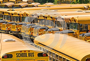 Parked School bus - Buses photo
