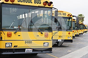 Parked School Buses