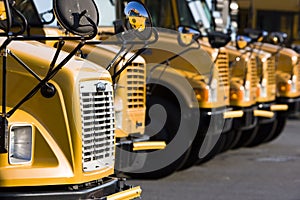 Parked School Buses