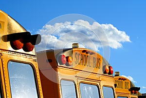 Parked school busses