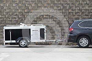 Parked travel dog trailer