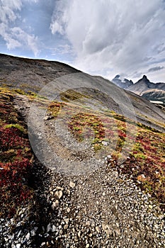 Parker Ridge Hiking Trail