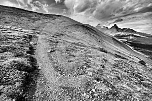 Parker Ridge Hiking Trail Banff National Park