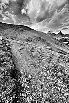 Parker Ridge Hiking Trail Banff National Park